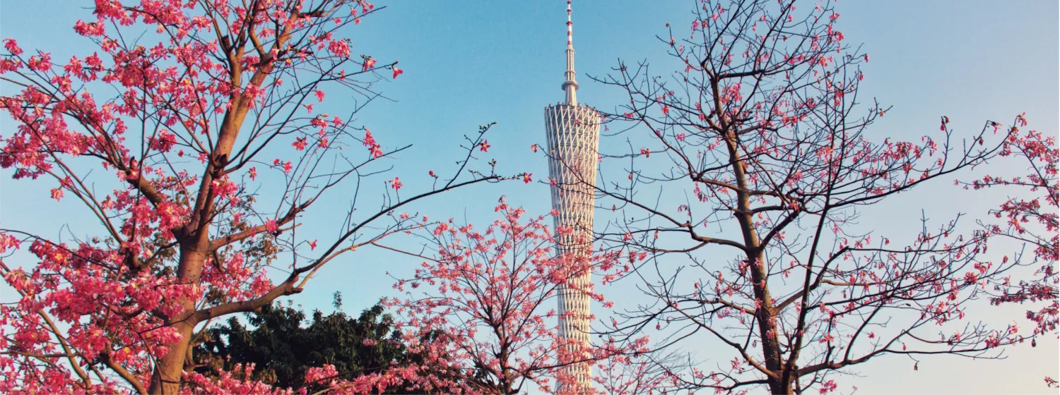 Guangzhou Skyline